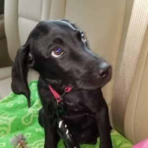 Meet your Posher, Tina